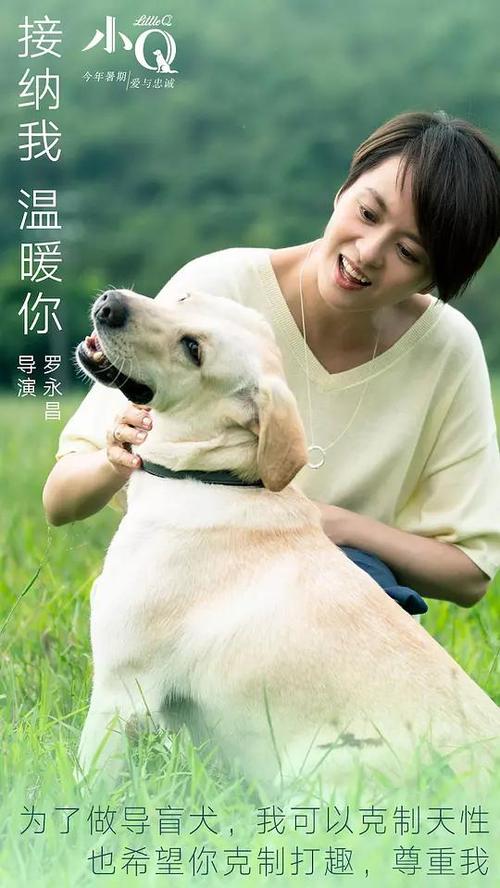 Freiburger P?dagogische Hochschule电子工程学位证书